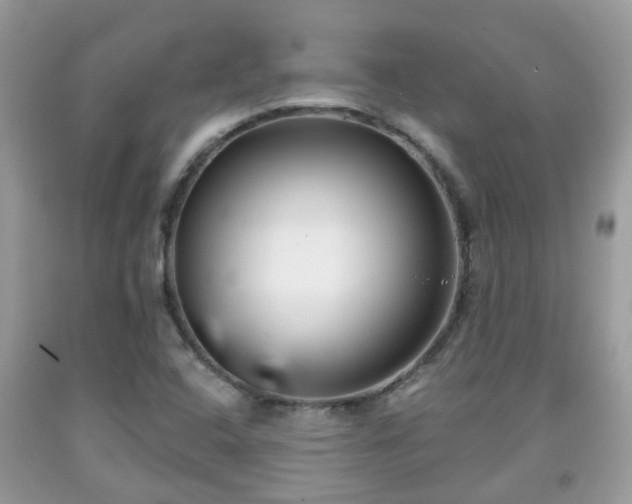 X0000091991408200709131444