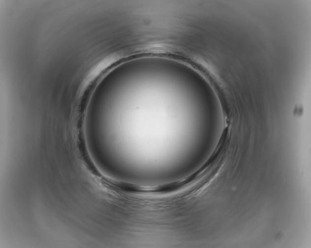 X0000091991410200709131444