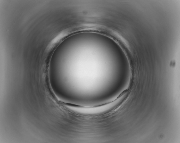 X0000091991411200709131444