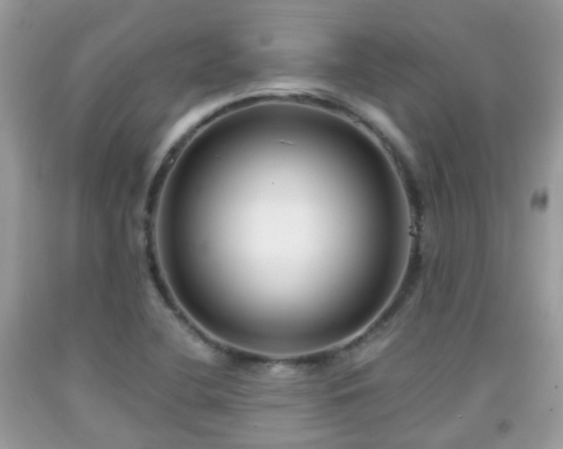 X0000091991412200709131444