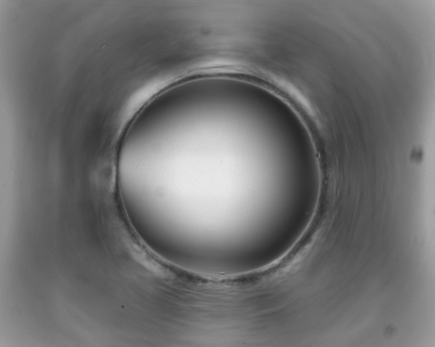 X0000091991413200709131444