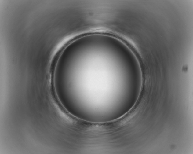 X0000091991414200709131444