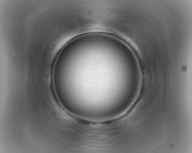 X0000091991415200709131444