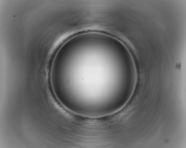 X0000091991416200709131444