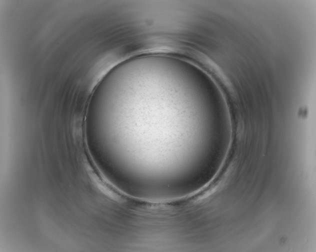 X0000091991417200709131444