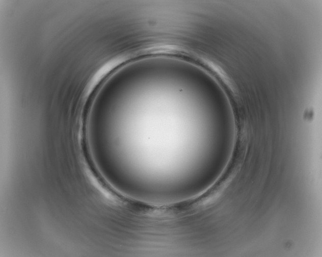 X0000091991418200709131444
