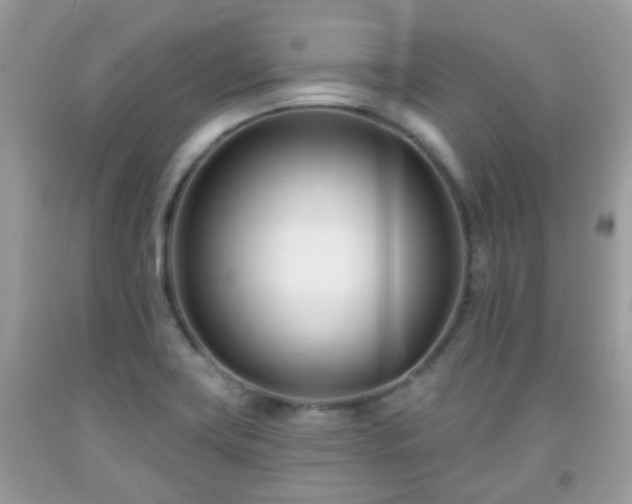 X0000091991419200709131444