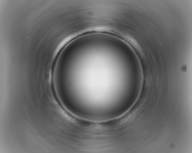 X0000091991420200709131444