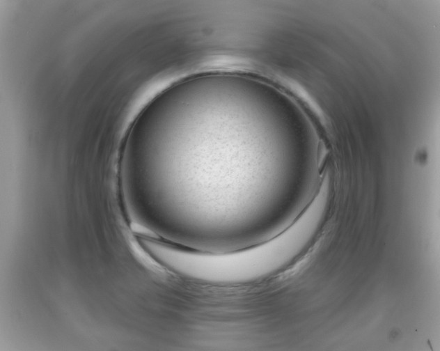 X0000091991421200709131444