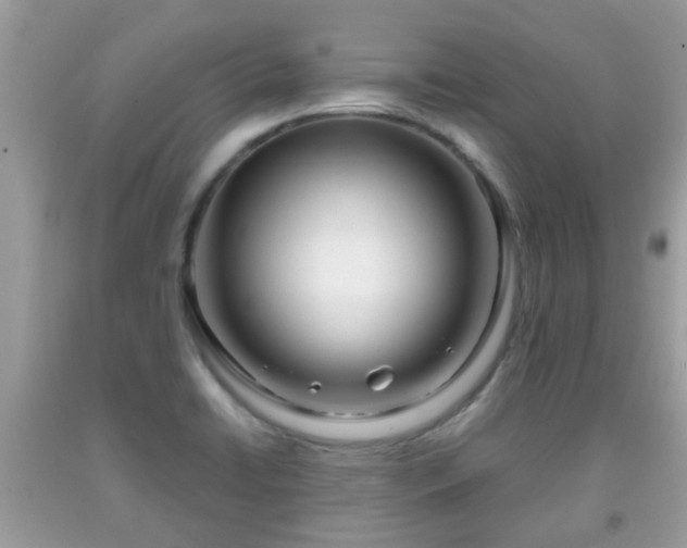 X0000091991422200709131444