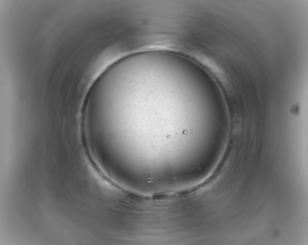 X0000091991423200709131444