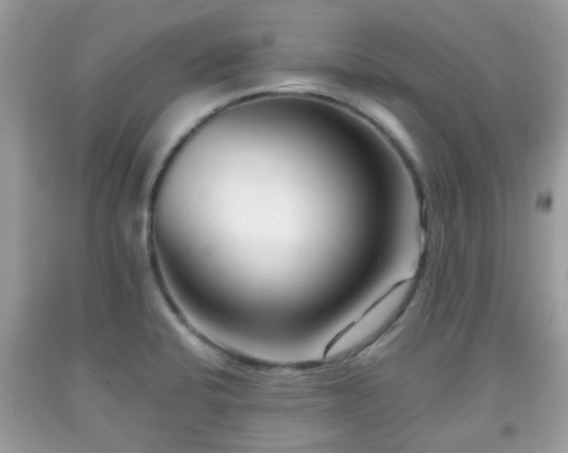 X0000091991424200709131444