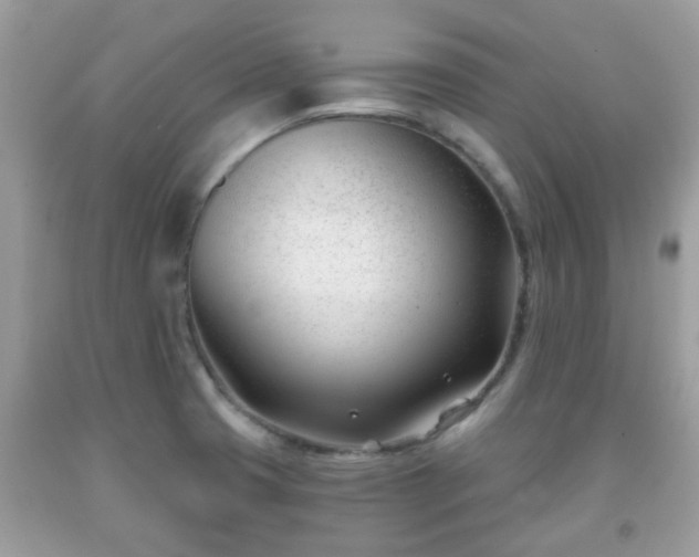 X0000091991425200709131444