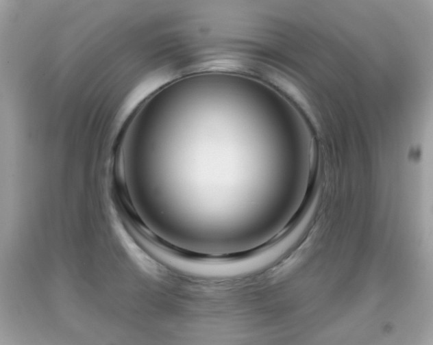 X0000091991426200709131444