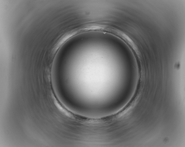X0000091991433200709131444