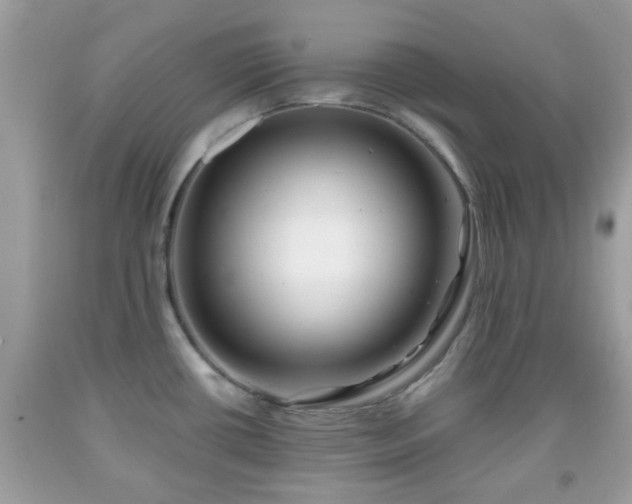 X0000091991434200709131444