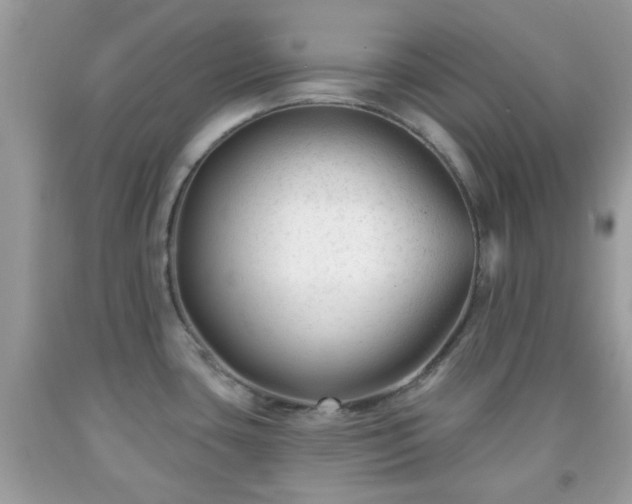 X0000091991435200709131444