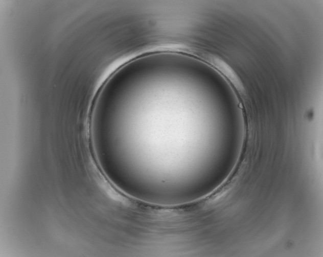 X0000091991436200709131444