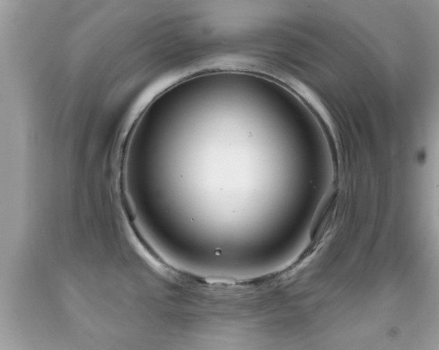 X0000091991437200709131444