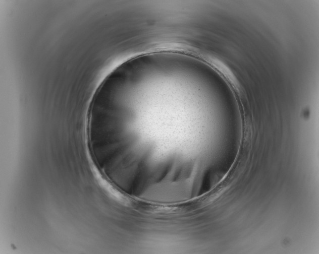X0000091991439200709131444