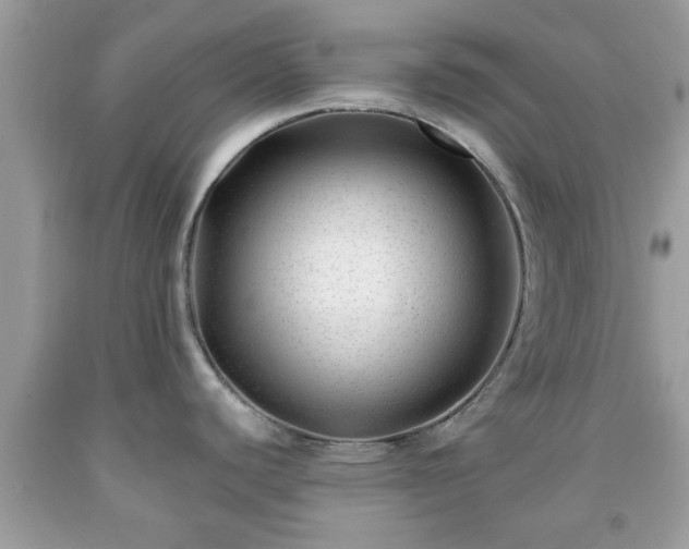 X0000091991440200709131444