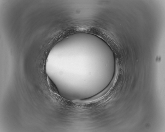 X0000091991441200709131444