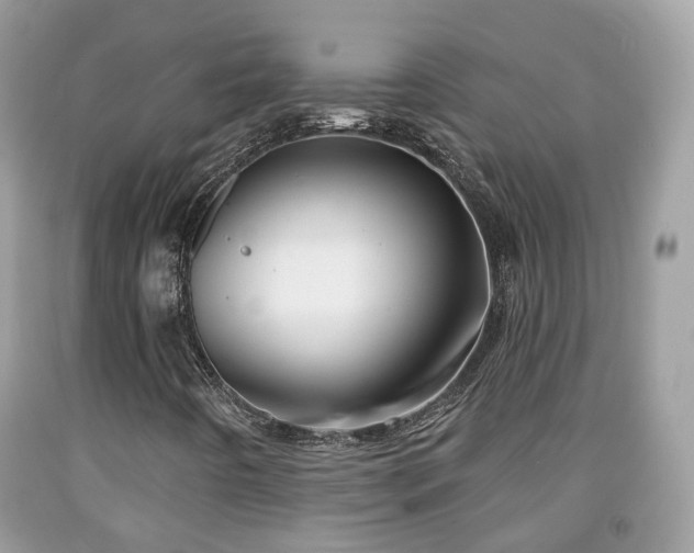 X0000091991442200709131444
