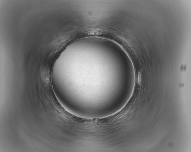 X0000091991444200709131444