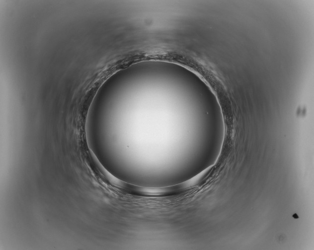 X0000091991445200709131444