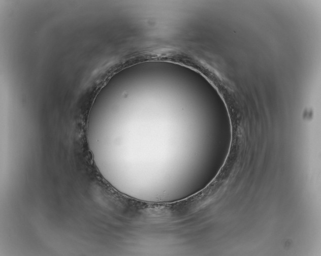 X0000091991447200709131444