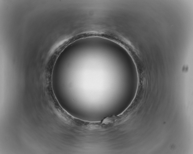 X0000091991448200709131444