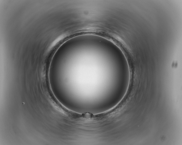 X0000091991450200709131444