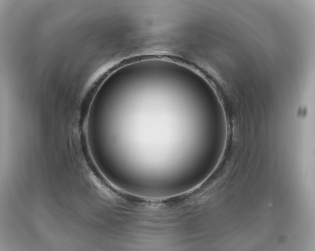 X0000091991452200709131444