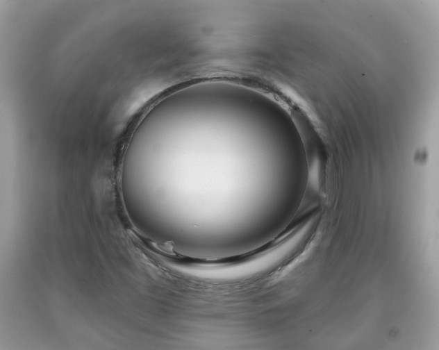 X0000091991453200709131443