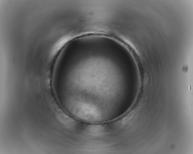 X0000091991455200709131443