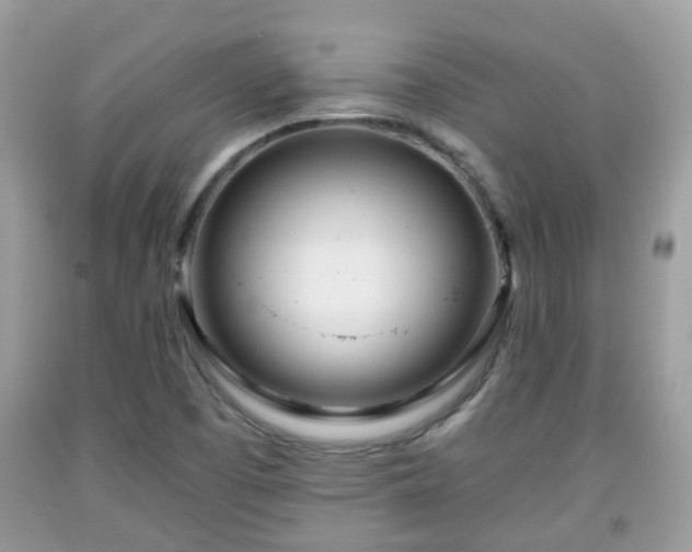 X0000091991457200709131443