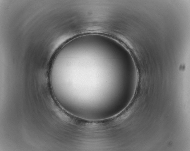 X0000091991458200709131443