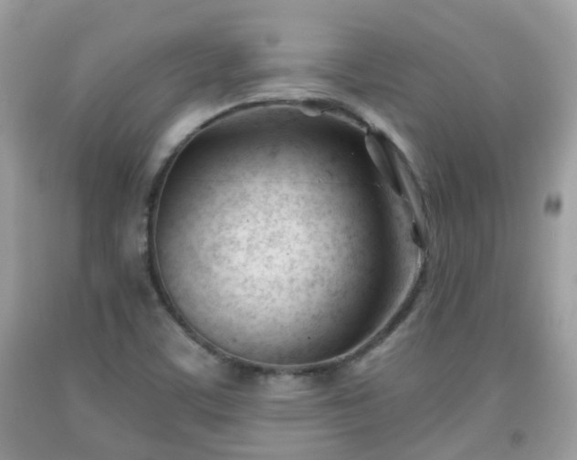 X0000091991459200709131443
