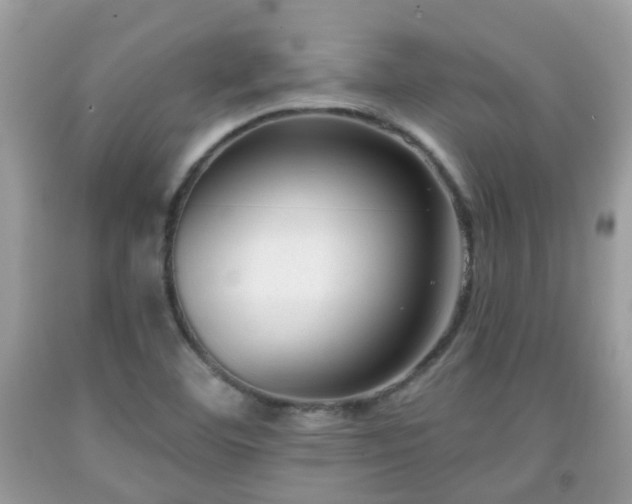 X0000091991460200709131443