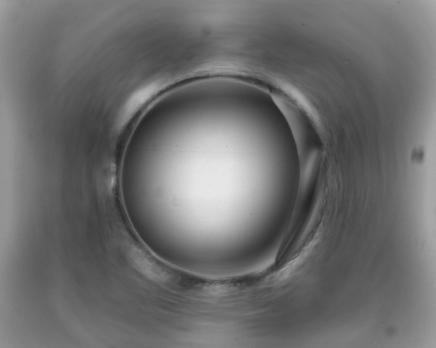 X0000091991461200709131443