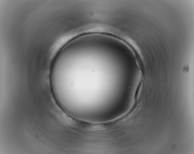 X0000091991464200709131443