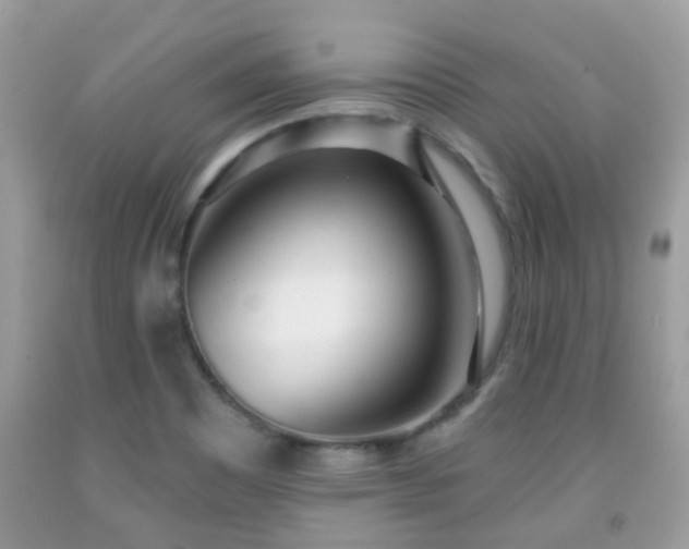 X0000091991465200709131443