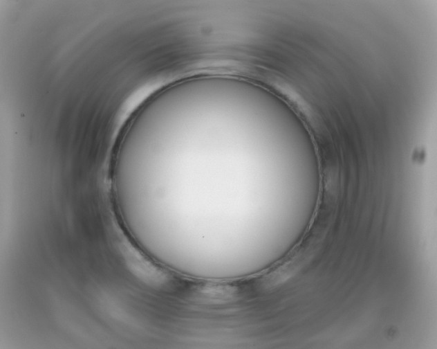 X0000091991466200709131443