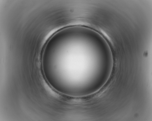 X0000091991468200709131443