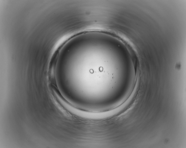 X0000091991469200709131443