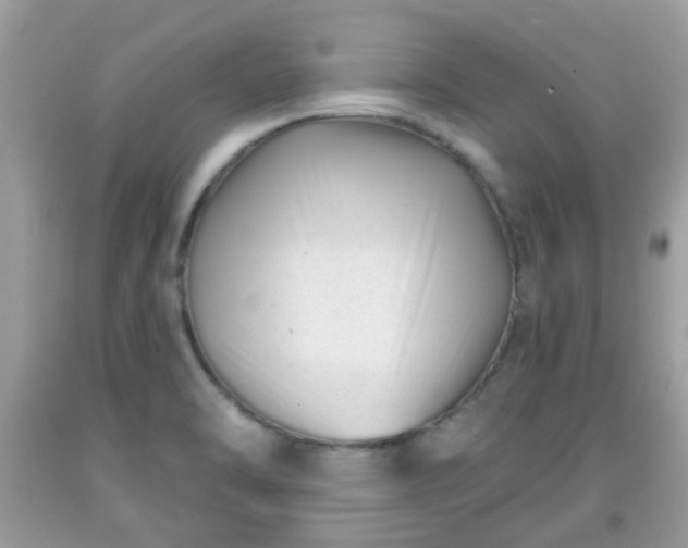 X0000091991470200709131443