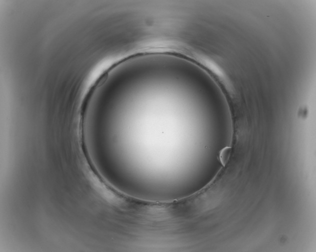 X0000091991472200709131443