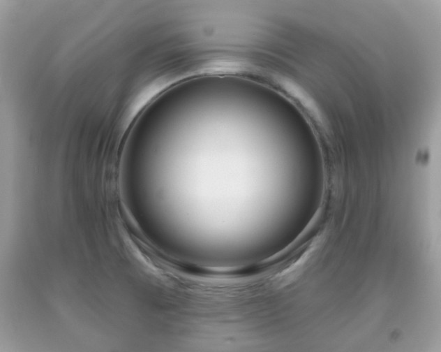 X0000091991473200709131443