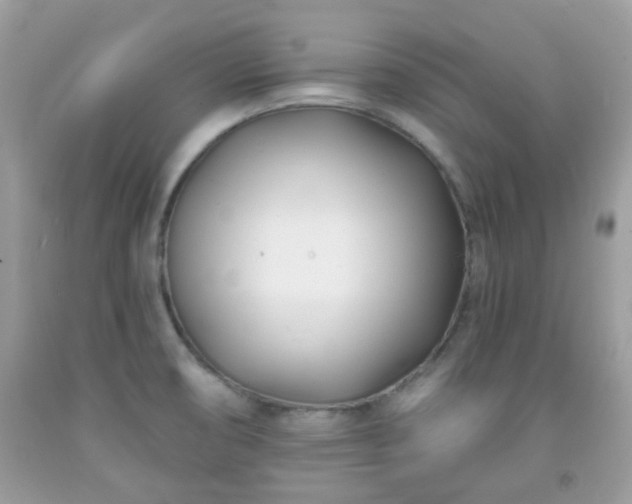 X0000091991474200709131443