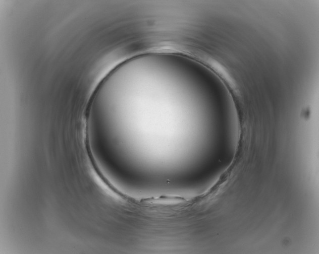 X0000091991476200709131443
